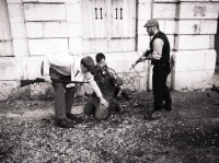 /album/dole-1-2-3-mai-2015-poa/a11178284-10206728588644431-3907512622520265725-n-jpg/